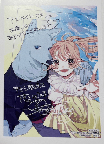 キミと越えて恋になる 単行本版 1 (マーガレットコミックス