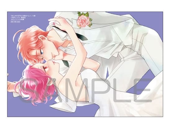 おしかけ王子は2度おいしい｜13巻特典まとめ｜ストア一覧 - はだしの