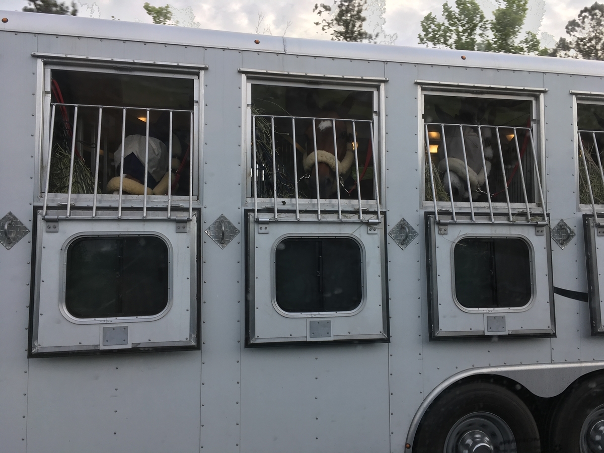 f:id:the-cosmological-fort:20190630161131j:plain f:id:the-cosmological-fort:20190630161131j:plain