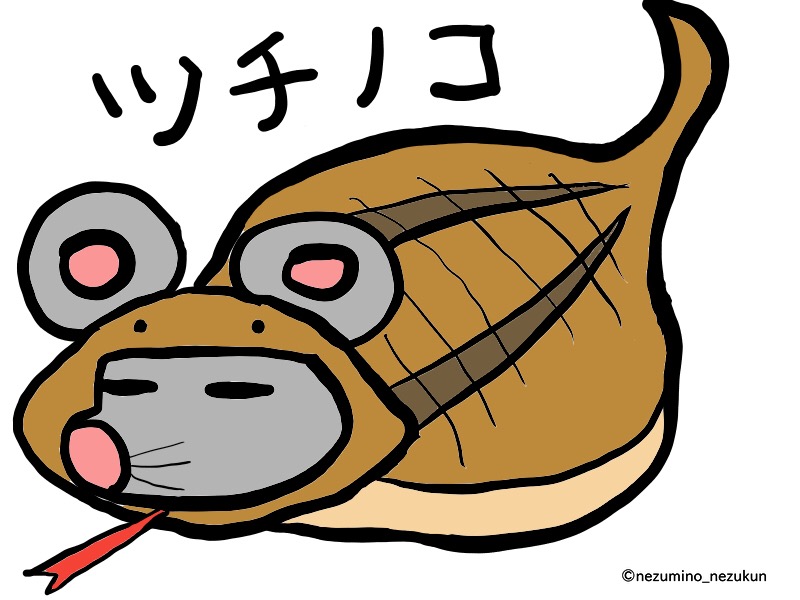f:id:the-tenkinzoku:20180607192024j:plain f:id:the-tenkinzoku:20180607192024j:plain