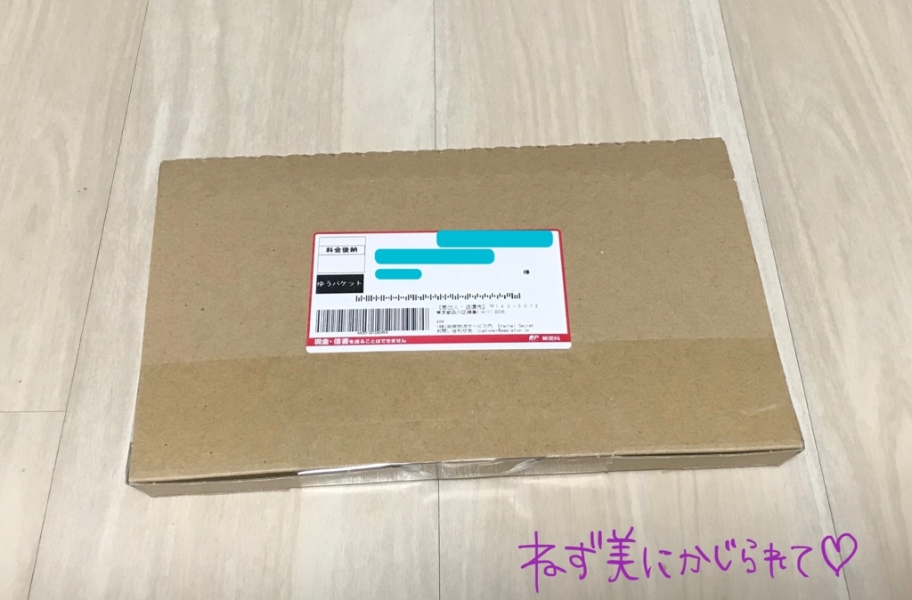 f:id:the-tenkinzoku:20180628171523j:plain f:id:the-tenkinzoku:20180628171523j:plain