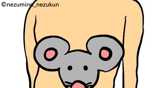 f:id:the-tenkinzoku:20181127192959j:plain f:id:the-tenkinzoku:20181127192959j:plain
