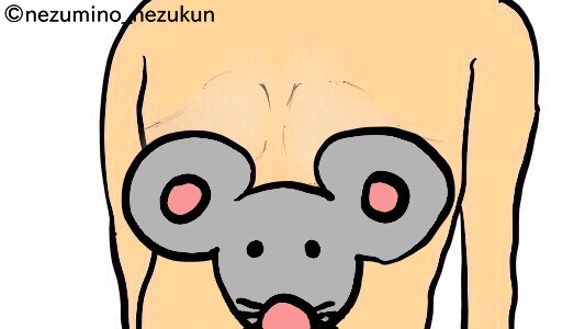 f:id:the-tenkinzoku:20181127193033j:plain f:id:the-tenkinzoku:20181127193033j:plain