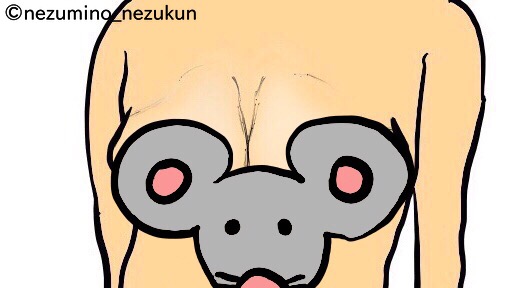 f:id:the-tenkinzoku:20181127193112j:plain f:id:the-tenkinzoku:20181127193112j:plain