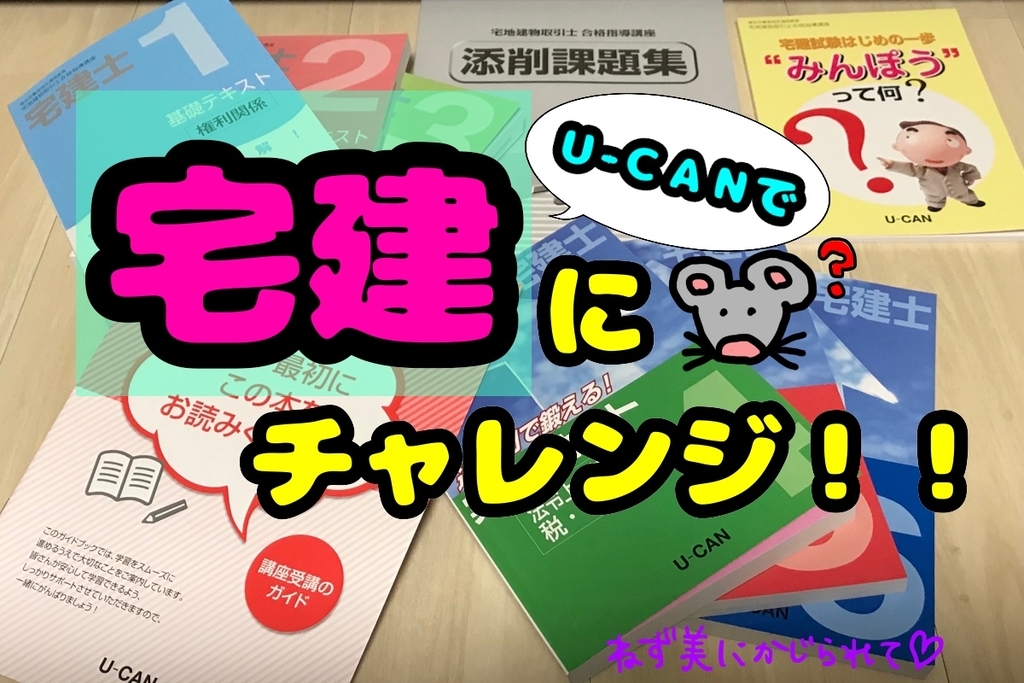 f:id:the-tenkinzoku:20190126125807j:plain f:id:the-tenkinzoku:20190126125807j:plain