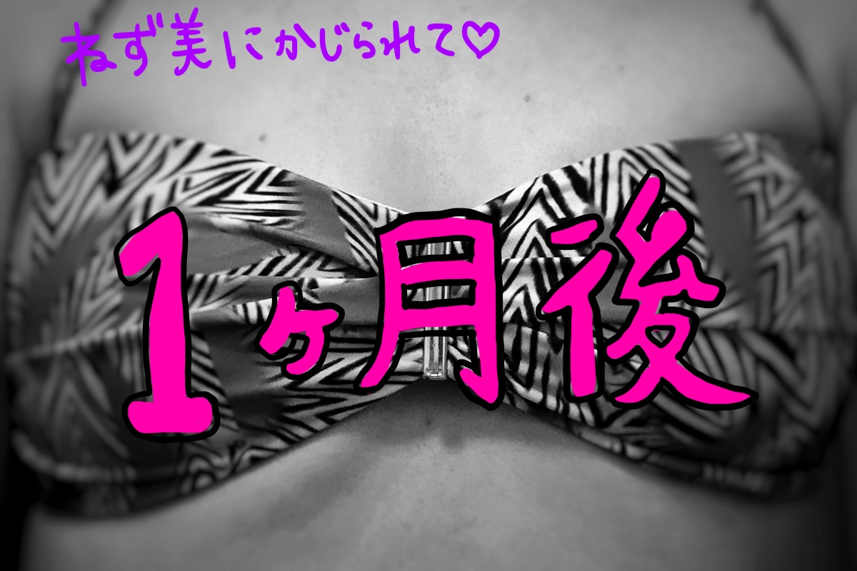 f:id:the-tenkinzoku:20190318171251j:plain f:id:the-tenkinzoku:20190318171251j:plain