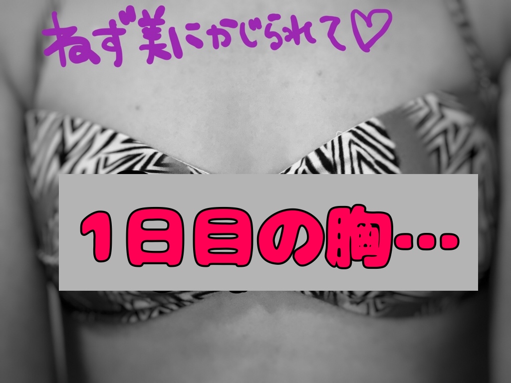 f:id:the-tenkinzoku:20190318173144j:plain f:id:the-tenkinzoku:20190318173144j:plain