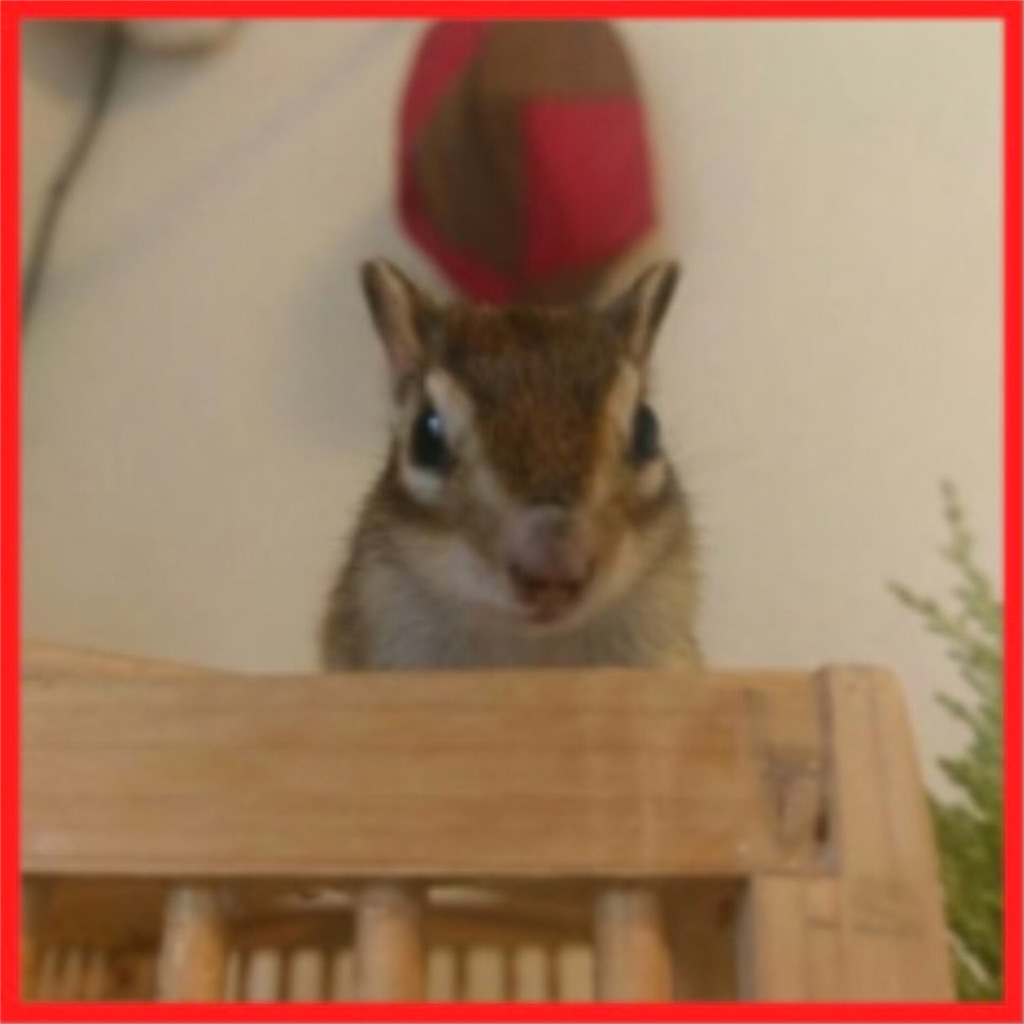 f:id:the4consistent:20211016025320j:plain