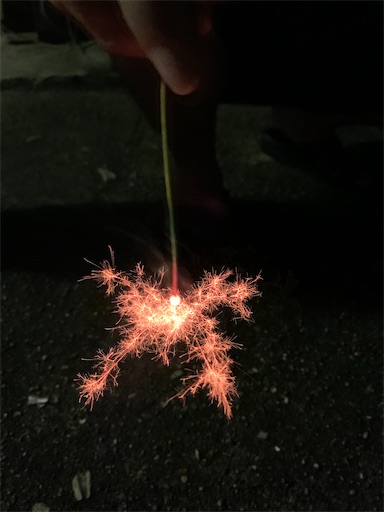 f:id:the_kyoto:20200803101345j:image f:id:the_kyoto:20200803101345j:image