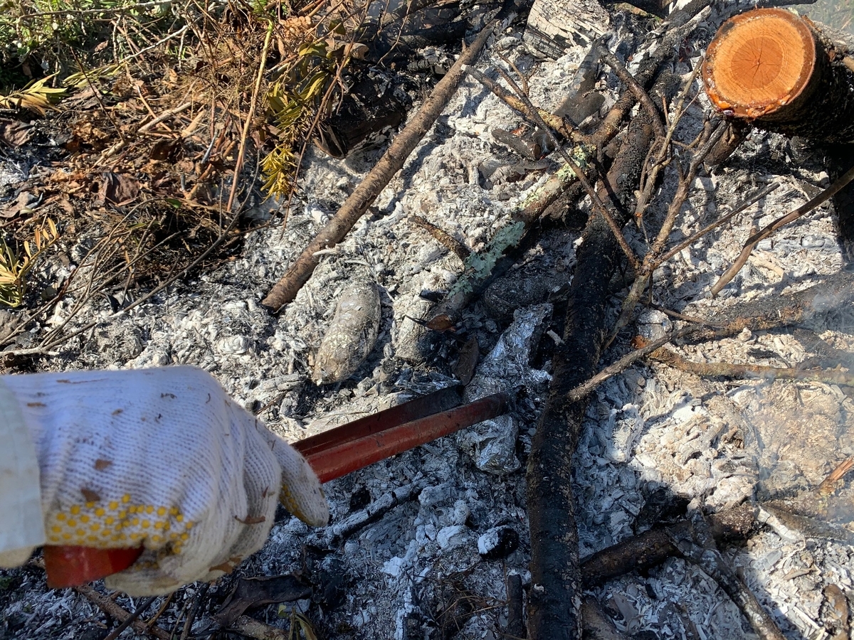 f:id:the_kyoto:20201128164552j:plain