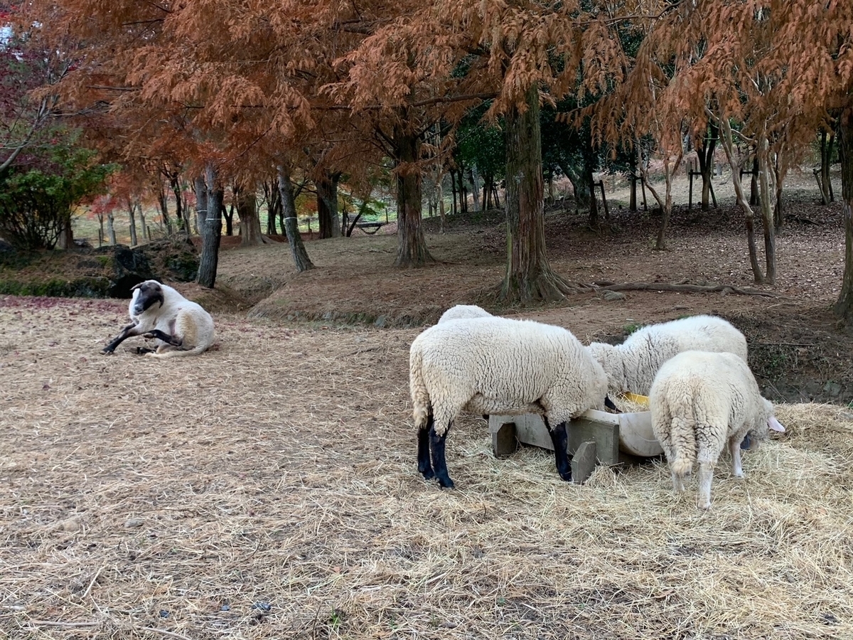 f:id:the_kyoto:20201128165444j:plain