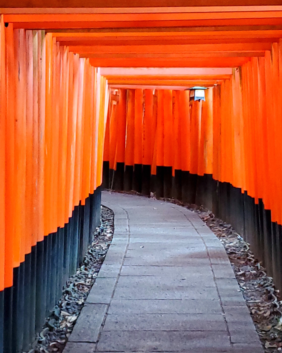 f:id:the_kyoto:20201213134852j:plain