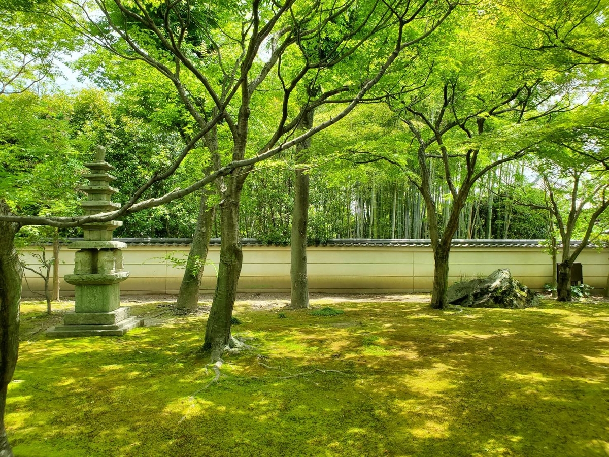 f:id:the_kyoto:20210607104545j:plain