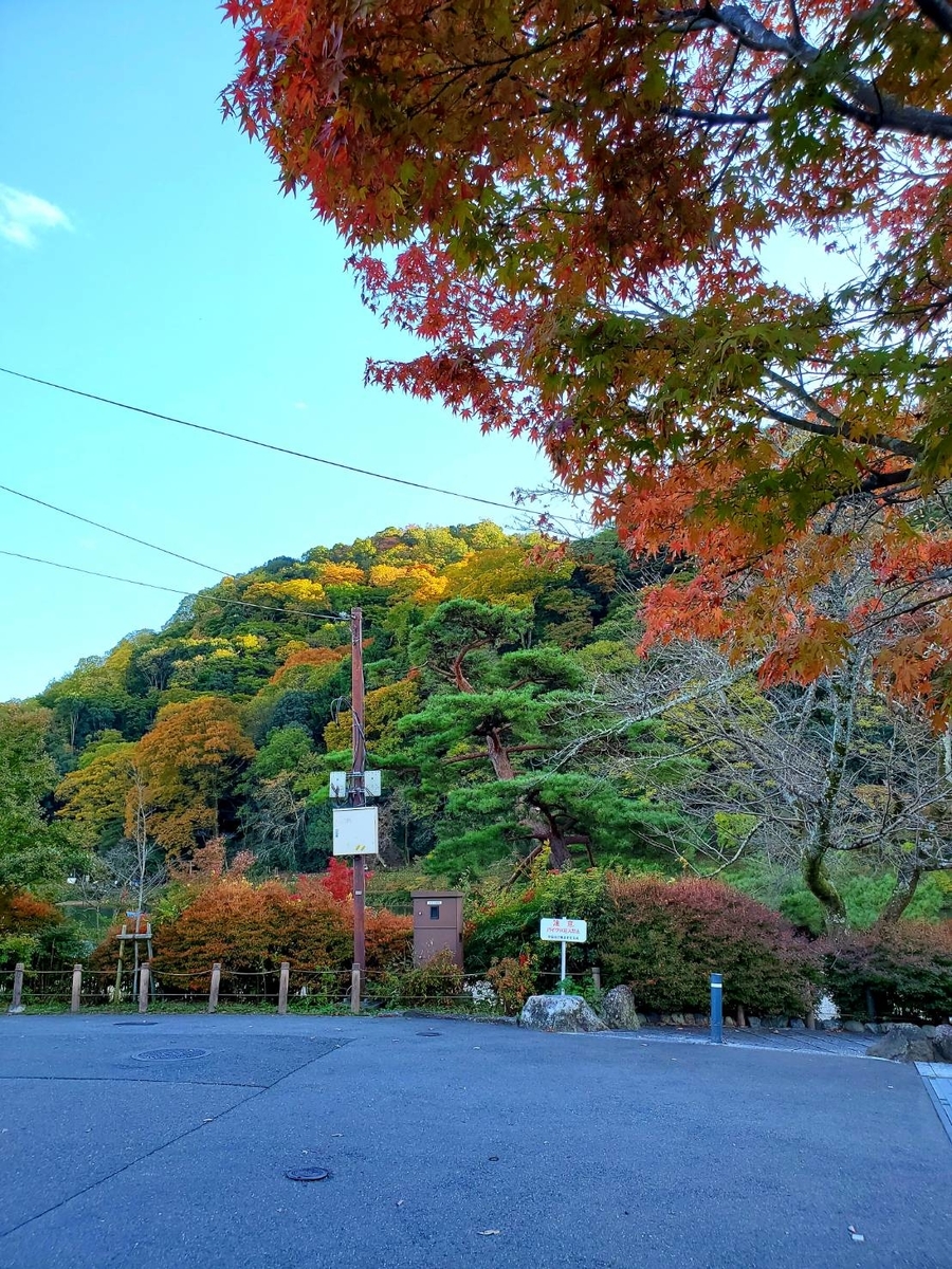 f:id:the_kyoto:20211105183016j:plain