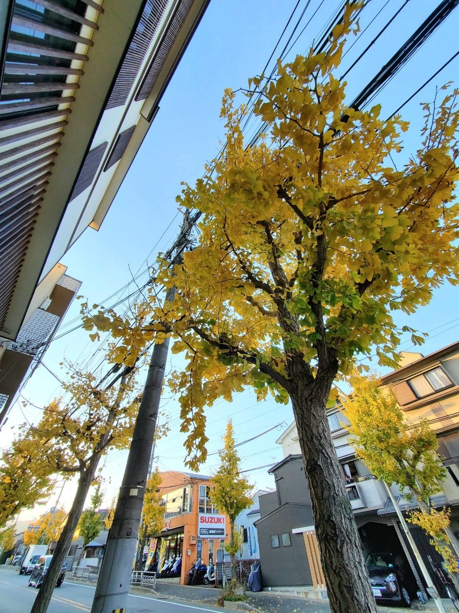 f:id:the_kyoto:20211204085432j:plain