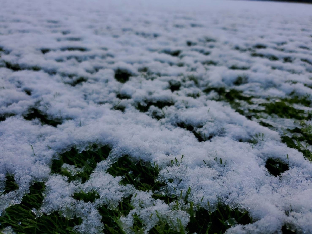 f:id:the_kyoto:20211222121624j:plain