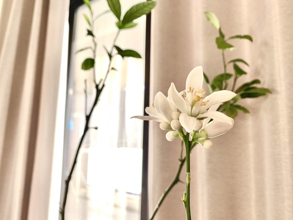 f:id:the_kyoto:20220202130430j:plain