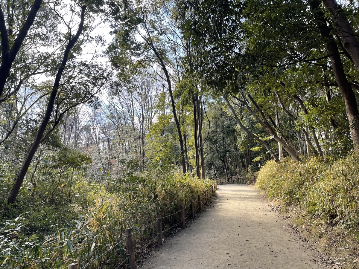 昆陽池公園の小径。整備されているが舗装はされていない。