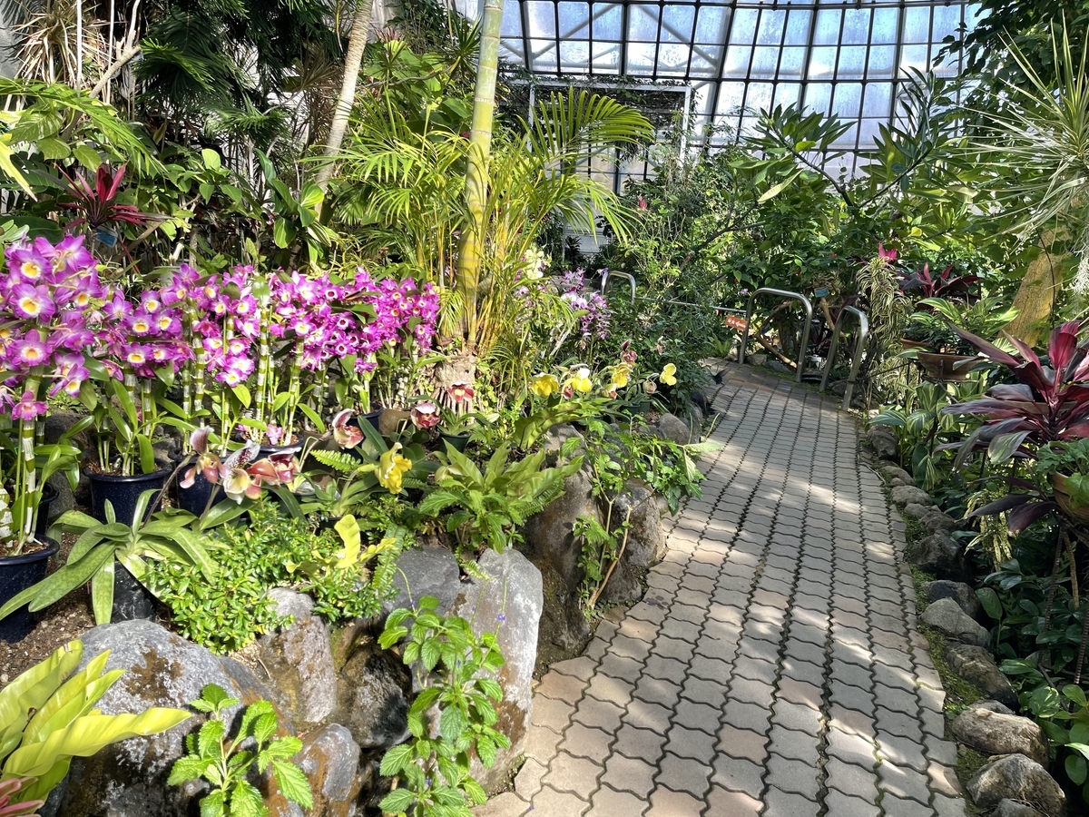 温室の通路に沿って撮った写真。温室には様々な植物が植えられている。