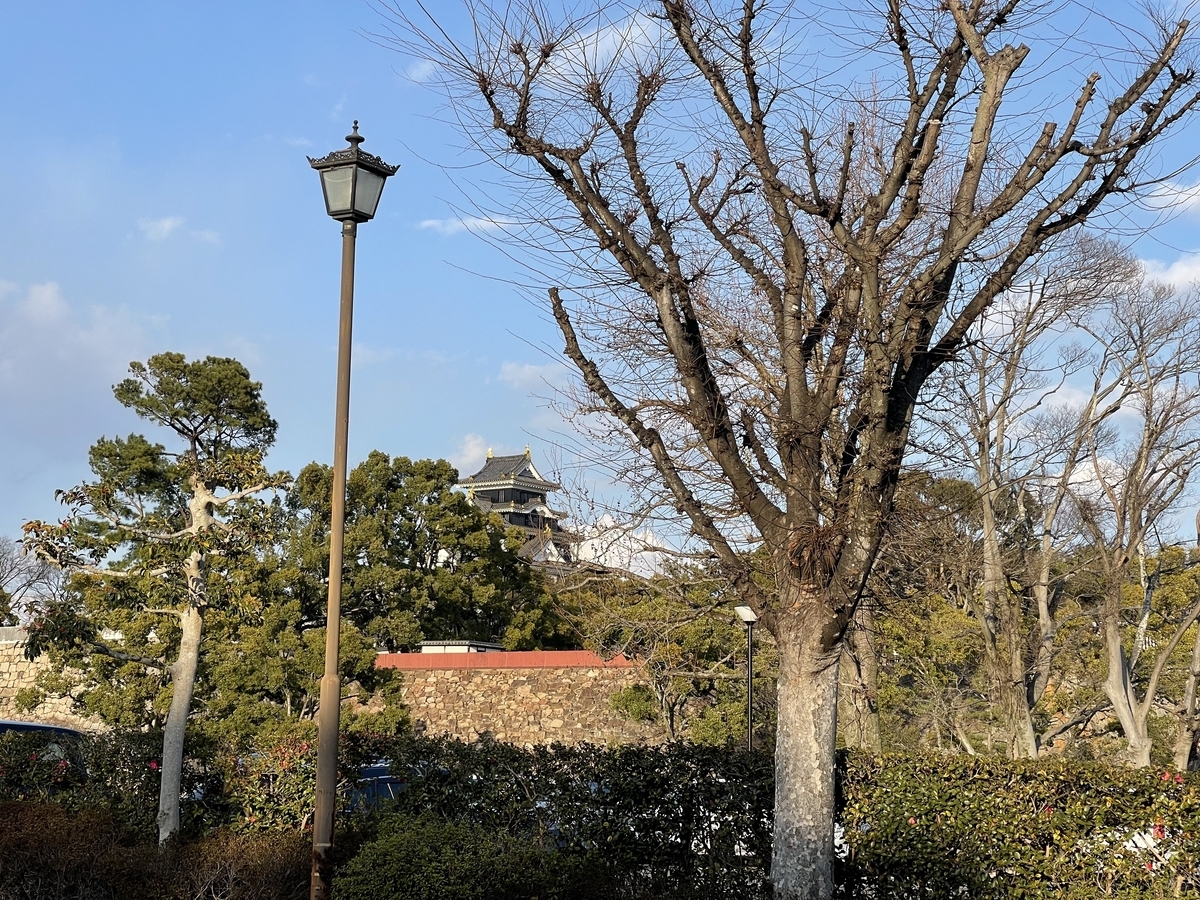 街路樹の間から岡山城が見えています。