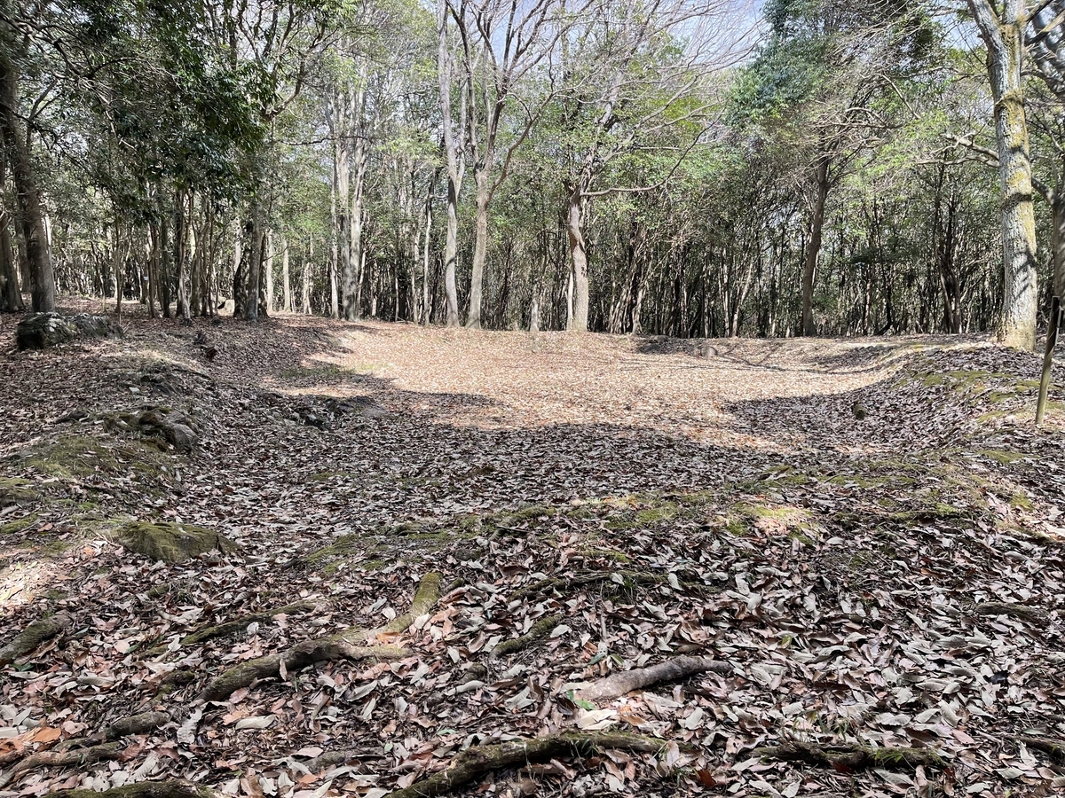 開けた場所にある大きな窪地です。落ち葉が積もっています。