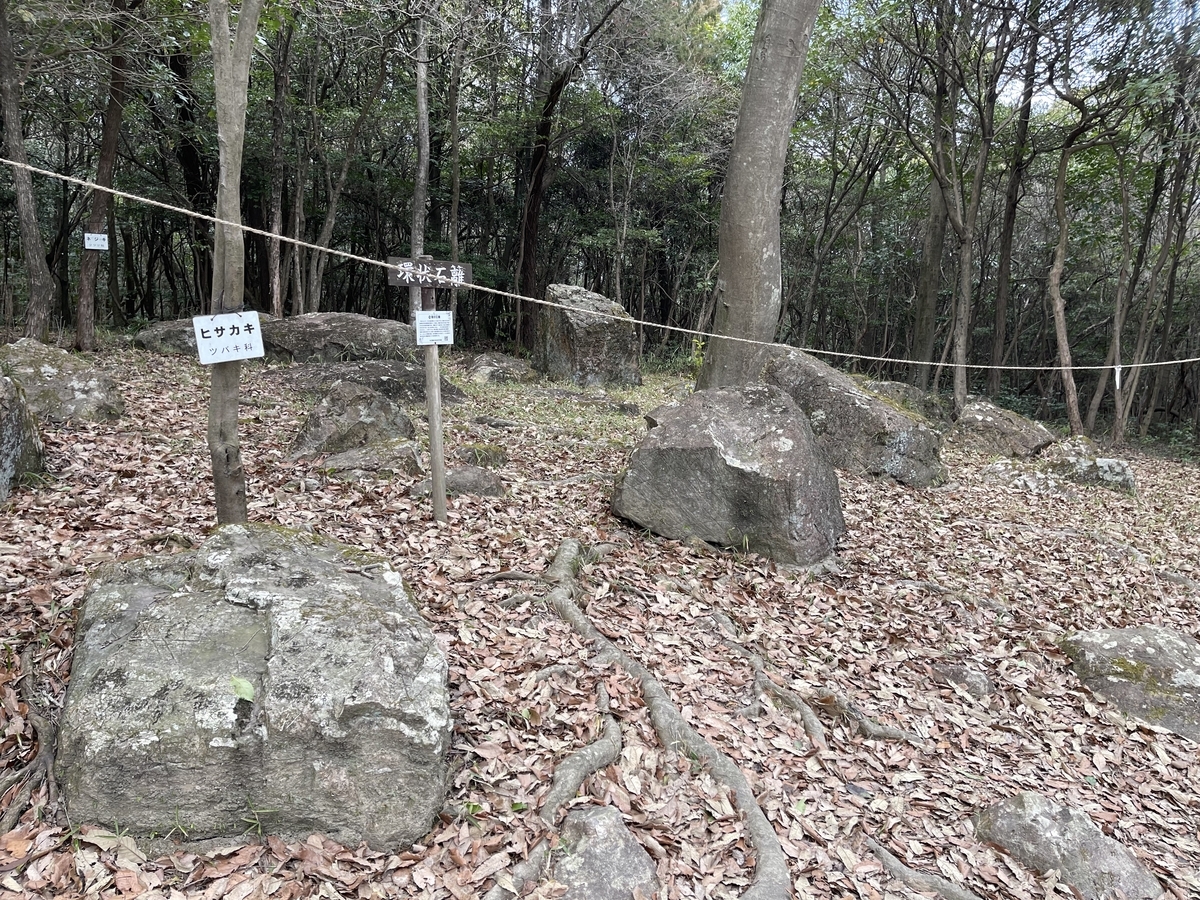 あまり綺麗には見えませんが、環状に石が配置されています。