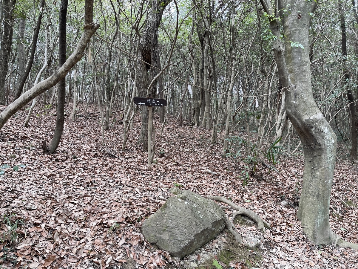 道の横に鏡岩への道標があります。落ち葉が積もっていて、道があるようには見えません。