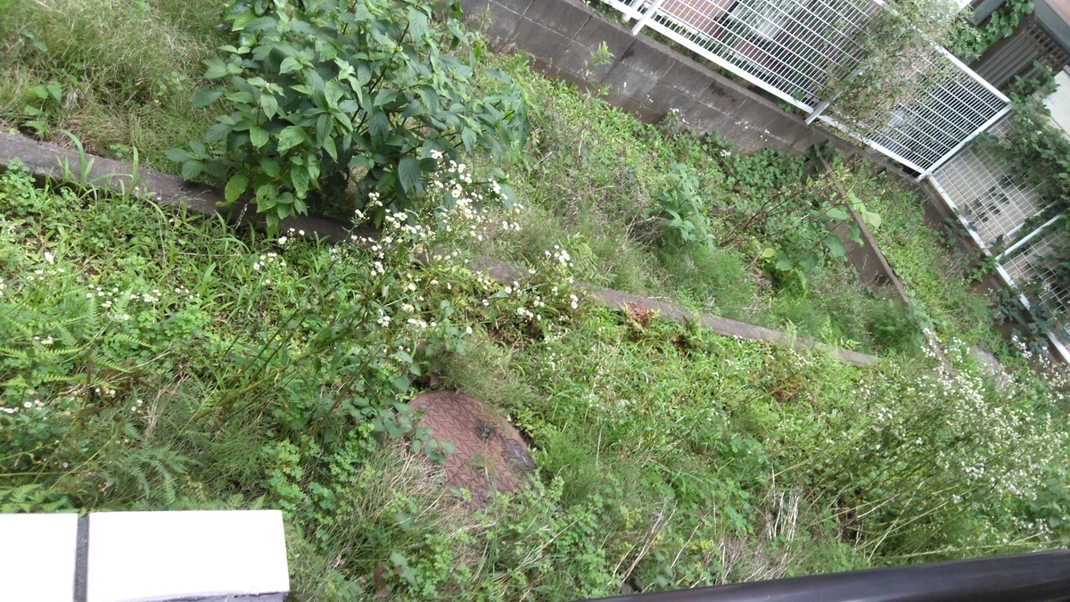 f:id:thealthy-service:20210818171606j:plain