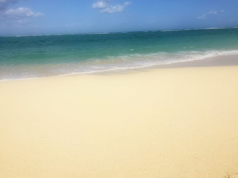 f:id:thebeachchic:20160924214911j:plain f:id:thebeachchic:20160924214911j:plain