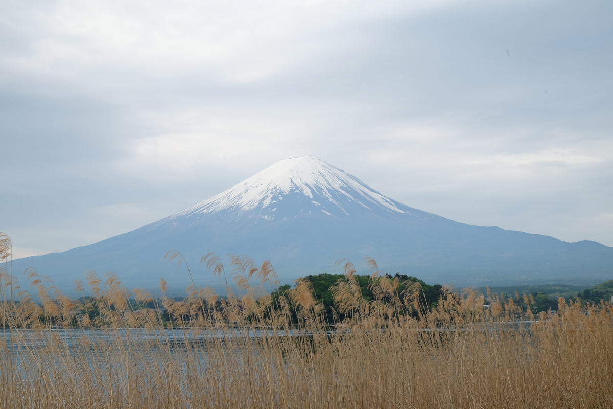 f:id:thecorner:20190410194442j:plain