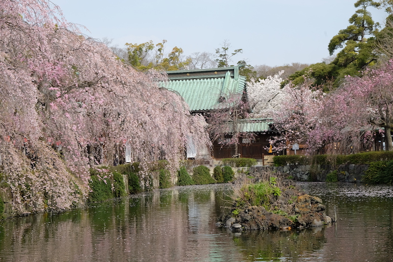 f:id:thecorner:20190410211307j:plain