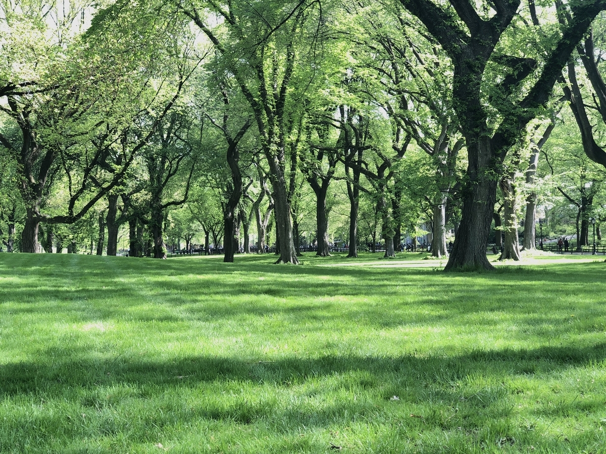 f:id:thecorner:20190618200602j:plain f:id:thecorner:20190618200602j:plain