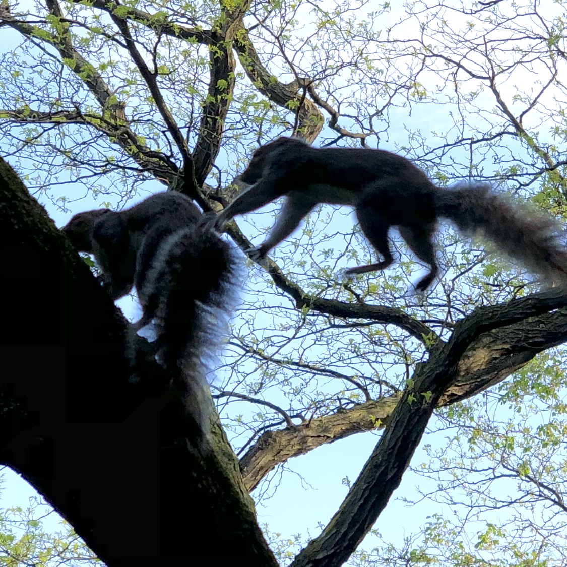 f:id:thecorner:20190619221530j:plain