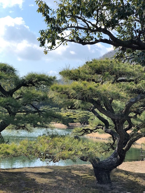 f:id:thecorner:20200210112435j:image