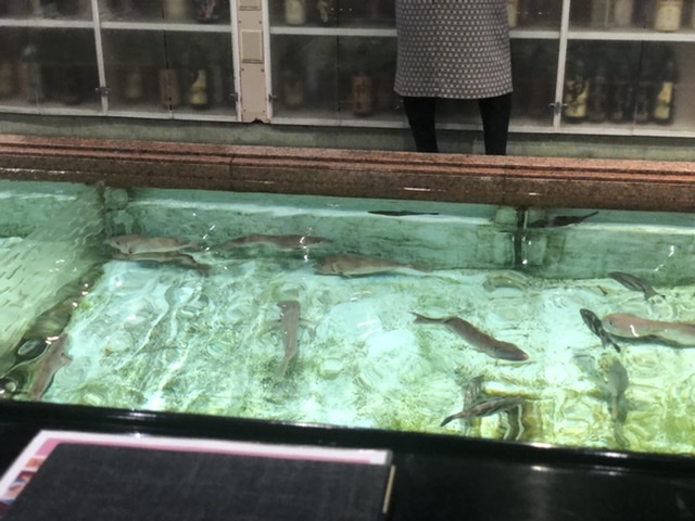 f:id:thecorner:20200306172405j:plain