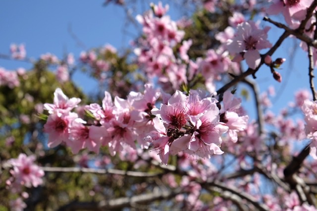 f:id:thecorner:20200401165131j:plain