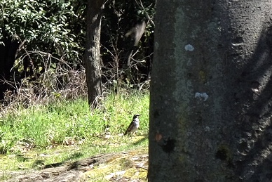 f:id:thecorner:20200401173505j:plain