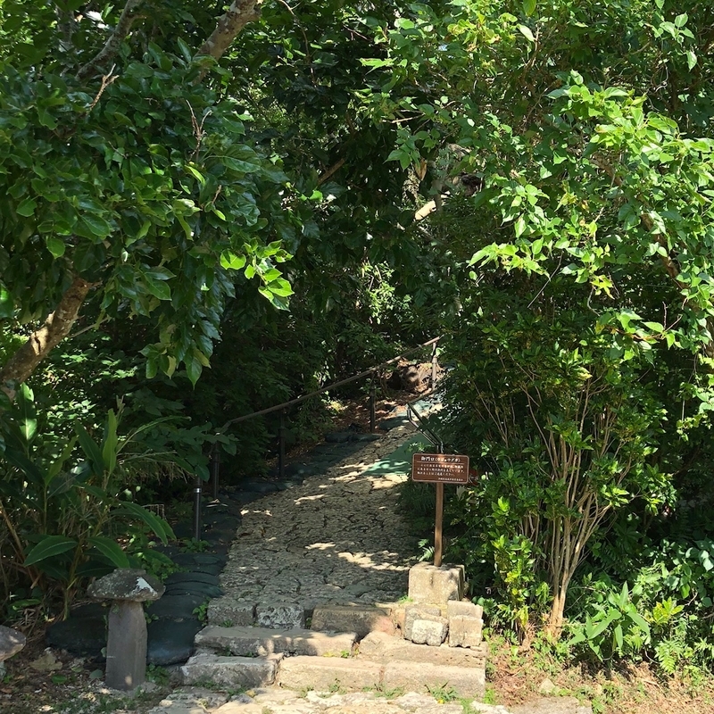 f:id:thecorner:20200516161513j:image f:id:thecorner:20200516161513j:image