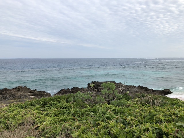 f:id:thecorner:20200516170329j:plain