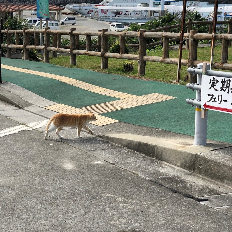 f:id:thecorner:20200518200853j:image f:id:thecorner:20200518200853j:image