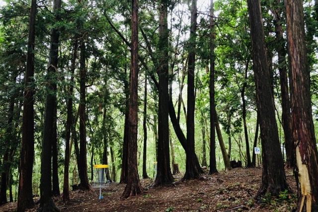 f:id:thecorner:20200723211018j:plain