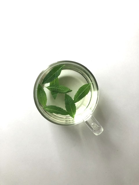 f:id:thecorner:20200905204034j:plain