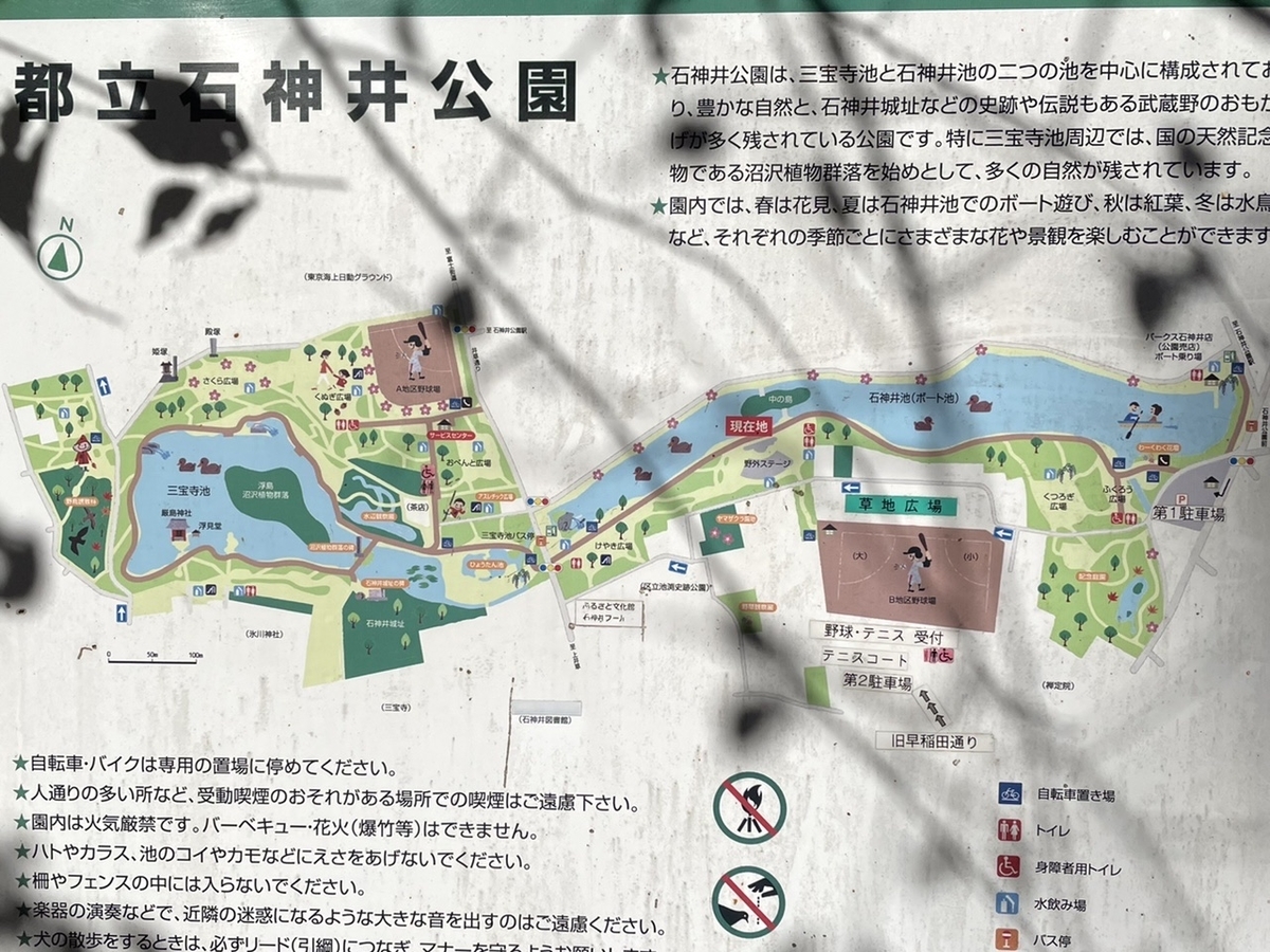 f:id:thecorner:20201124135446j:plain