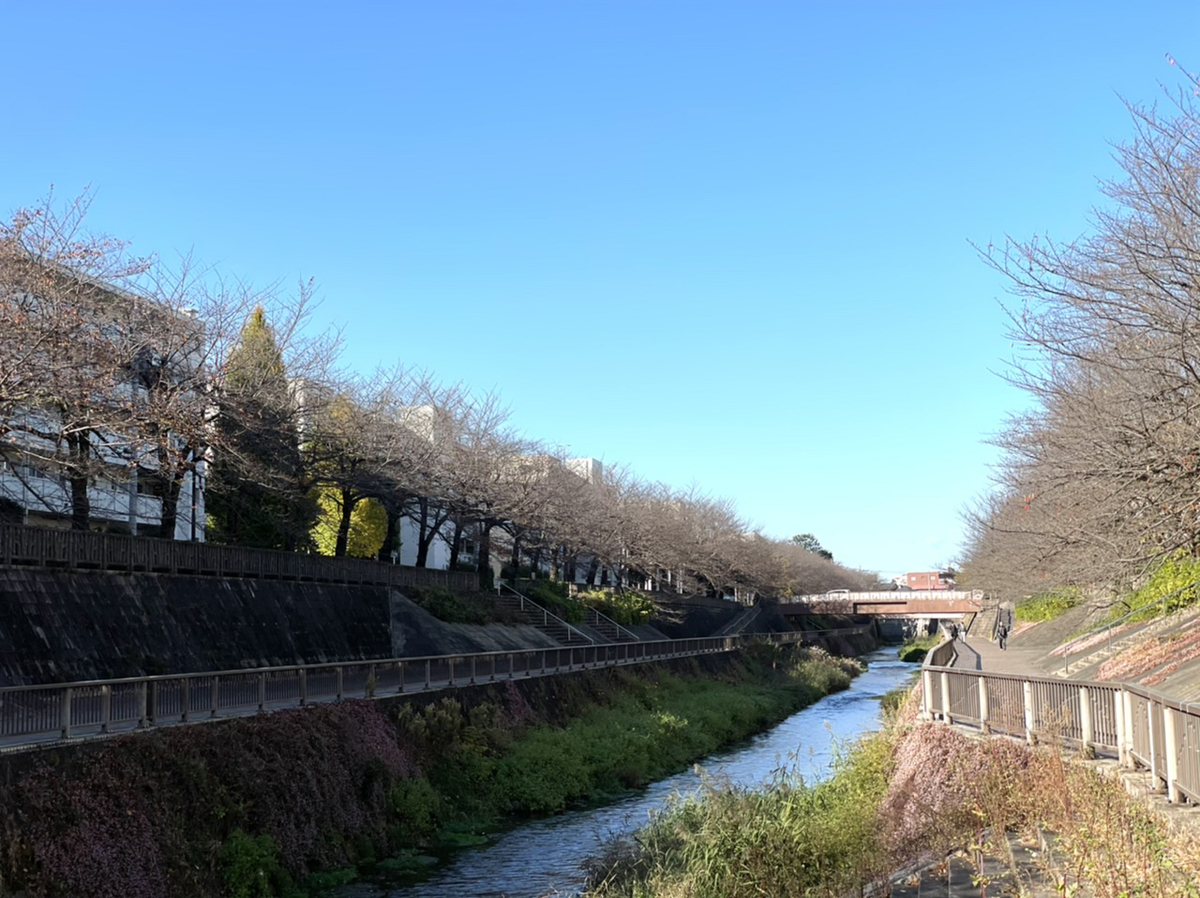 f:id:thecorner:20201125153017j:plain