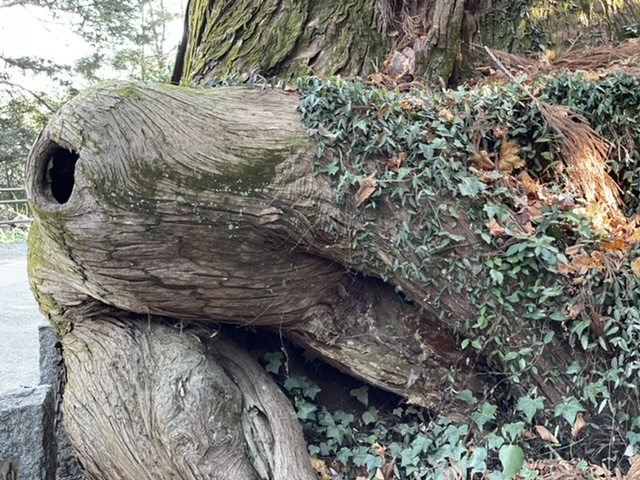 f:id:thecorner:20210214192244j:plain