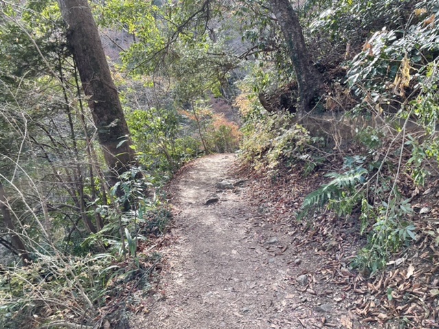 f:id:thecorner:20210214192811j:plain