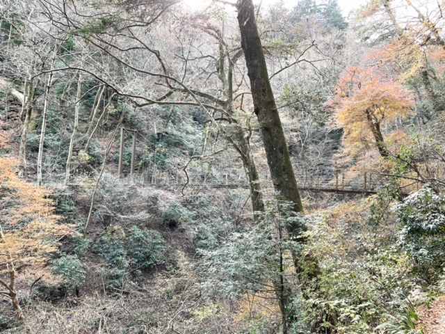 f:id:thecorner:20210214192913j:plain