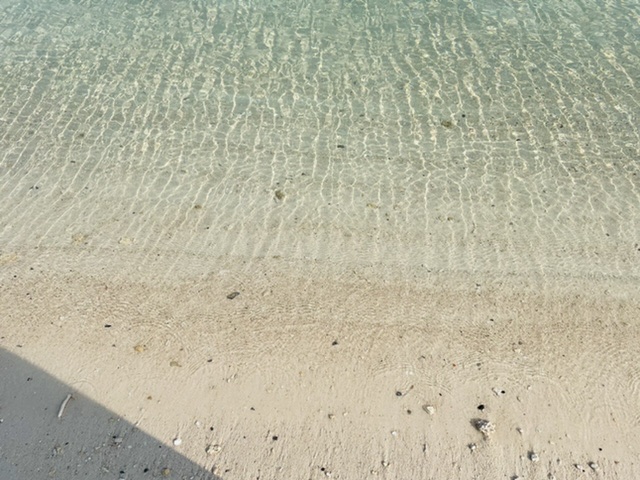 f:id:thecorner:20210404111618j:plain