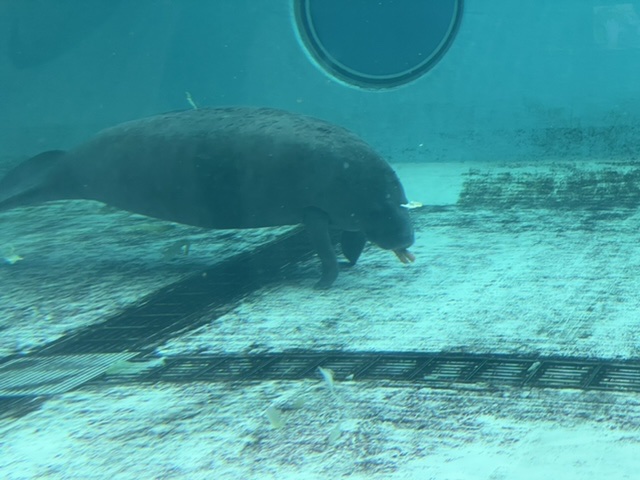 f:id:thecorner:20210404113150j:plain