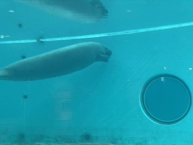 f:id:thecorner:20210404113218j:plain